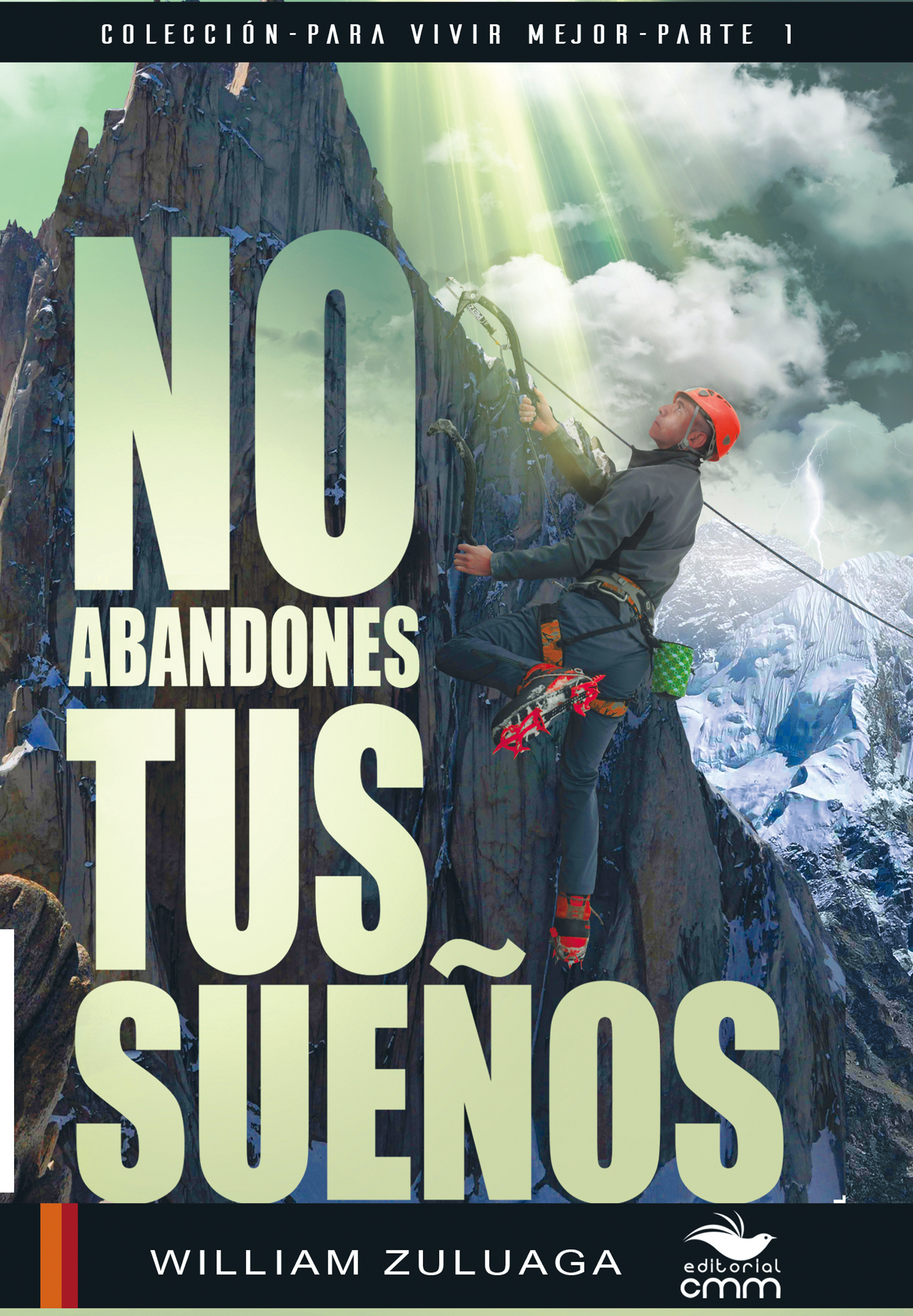 Libro No Abandones Tus Sueños